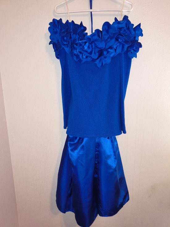 Raul Blanco Dresses & Skirts - Vintage Raul Blanco Evening Cobalt Blue Floral Neckline Dress & Slip Set Size 14